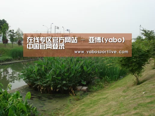 案例展示四(图1)