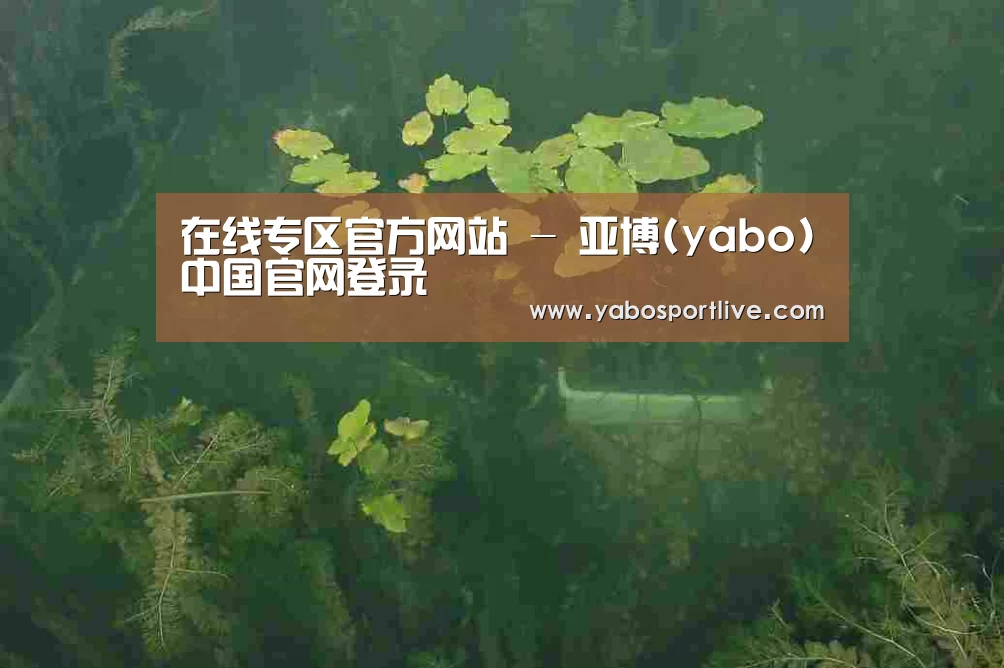 案例展示三(图1)