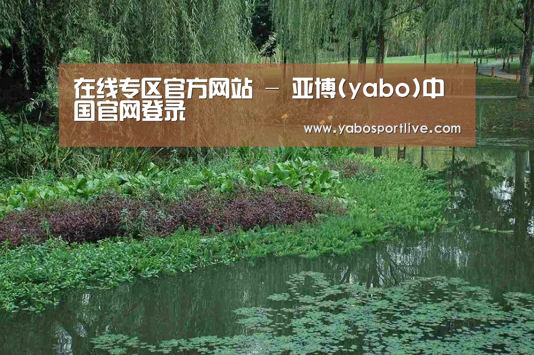 案例展示一(图1)