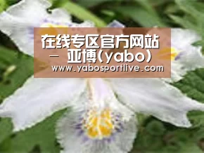 产品名称二