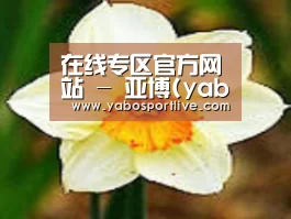 产品名称四