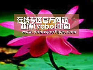 产品名称五