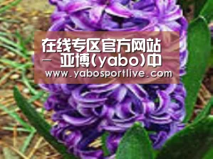 产品名称八