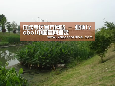 案例展示四