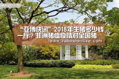 亚博快讯