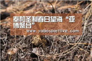 亚博聚合