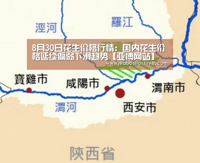亚博快讯